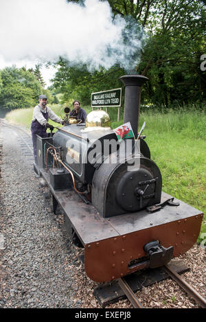 Liz und Dave fahren eine Dampfmaschine bei Bala Lake Railway, Wales Stockfoto