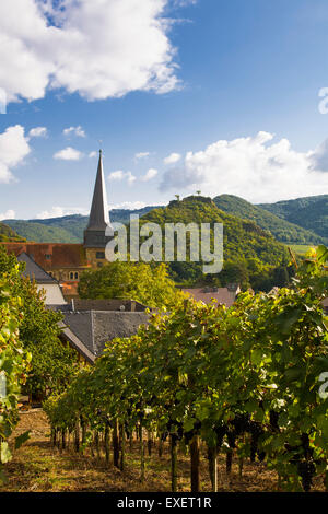 Europa, Deutschland, Rheinland-Pfalz, Eifel-Region, das Dorf Mayschoss an der Ahr, St. Nikolaus Und St. Rochus-Kirche. Stockfoto