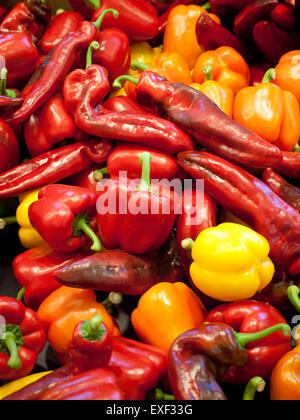 Eine Vielzahl von rot, orange und gelbe süße Paprika auf die Old Strathcona Bauernmarkt in Edmonton, Alberta, Kanada. Stockfoto