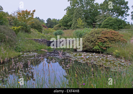 Den Wasserfall und Teich im High Beeches Woodland & Wassergarten, Handcross, West Sussex, England, UK, GB Stockfoto