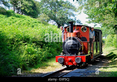 Talyllyn Railway Nr. 2 "Auto" von 1866 nähert sich Rhydyronen Station mit einem speziellen 150. Jahrestag-Zug. Stockfoto