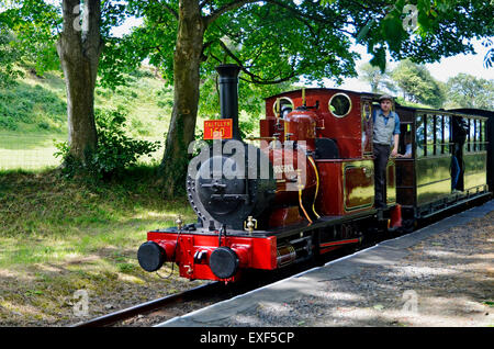 Talyllyn Railway Nr. 2 "Auto" von 1866 übergibt Rhydyronen Station mit einem speziellen 150. Jahrestag-Zug. Stockfoto