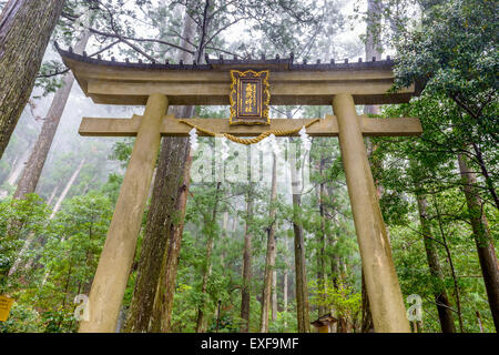 Nachi, Japan am Eingang Hiryu Tempel und Nachi fällt auf dem Kumano Kodo Heiligen Trail. (Text liest, "Hiryu Tempel, Anhang Stockfoto