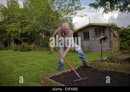 Senior woman, Rechen Boden im Garten Stockfoto