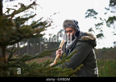 Junger Mann hacken Weihnachtsbaum im Wald Stockfoto