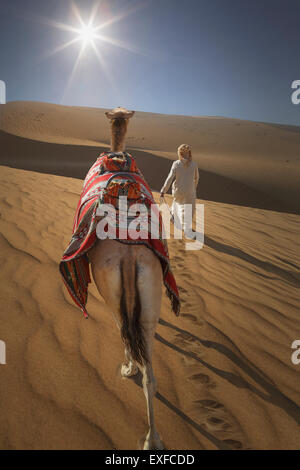 Rückansicht des Beduinen führt Kamel in der Wüste, Dubai, Vereinigte Arabische Emirate Stockfoto