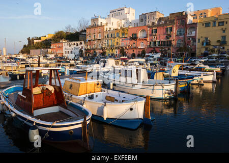 Boote verankert in Marina di Procida in Procida, Italien Stockfoto