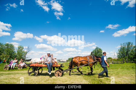 Großen Familiengruppen, Reiten auf Pferden und Wagen im Feld, Rezh, Sverdlovsk Oblast, Russland Stockfoto