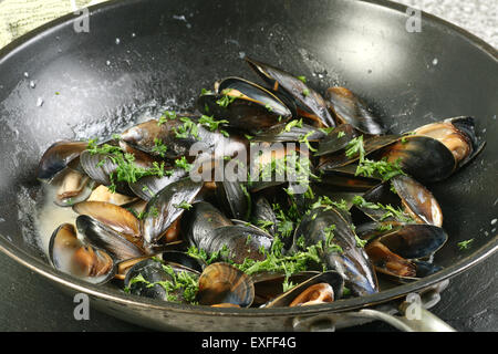 Muscheln in einer Pfanne mit Weißweinsauce gekocht Stockfoto