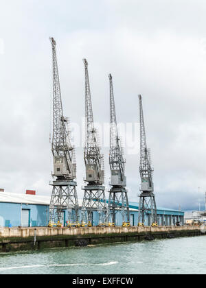 Reihe von vier Krane am Ufer des Docks in den Hafen von Southampton Solent, Hampshire, Südengland, UK Stockfoto