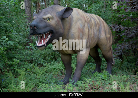 Hyaenodon eine ausgestorbene fleischfressende Säugetier aus Eozän Dinosaurier Park Deutschland Stockfoto