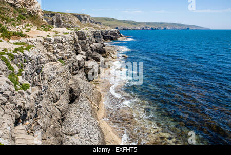 Seacombe Steinbruch in der Nähe von St Aldhelm Kopf und Swanage auf der Ost Küste von Dorset UK Stockfoto