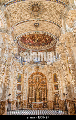 GRANADA, Spanien - 31. Mai 2015: Die barocke Sakristei in der Kirche Monasterio De La Cartuja. Stockfoto