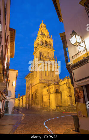 Cordoba - Dom-Turm und Mauern in der Abenddämmerung. Stockfoto