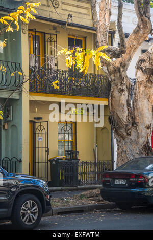 Schule, Chippendale, Sydney, Australien Stockfoto