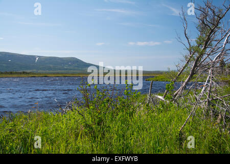 Ein Blick auf den Torfmooren Gros Morne mit Long Range Mountains im Hintergrund. Stockfoto