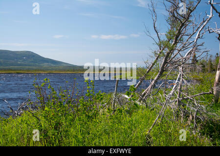 Ein Blick auf den Torfmooren Gros Morne mit Long Range Mountains im Hintergrund. Stockfoto