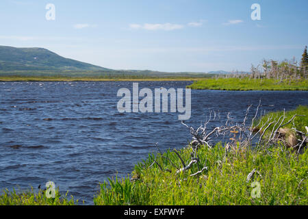 Ein Blick auf den Torfmooren Gros Morne mit Long Range Mountains im Hintergrund. Stockfoto