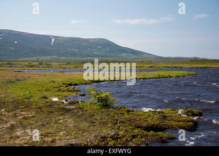 Ein Blick auf den Torfmooren Gros Morne mit Long Range Mountains im Hintergrund. Stockfoto