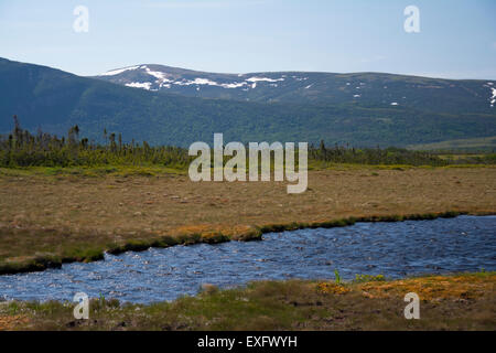 Ein Blick auf den Torfmooren Gros Morne mit Long Range Mountains im Hintergrund. Stockfoto