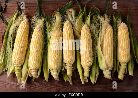 Mehrere frisch gepflückt und shucked Mais auf die Cob-Ohren auf einem rustikalen Holztisch. Der Zuckermais ist von einem hohen Winkel geschossen. Stockfoto