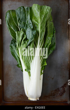 Bok Choy Stilleben auf eine gebrauchte Metall Backblech legen. Hochformat. Stockfoto