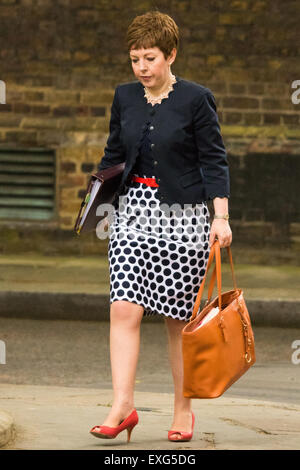 Downing Street, London, July14th 2015. Führer des House Of Lords Baroness Stowell kommt in 10 Downing Street für wöchentlichen Kabinettssitzung der Regierung. Bildnachweis: Paul Davey/Alamy Live-Nachrichten Stockfoto