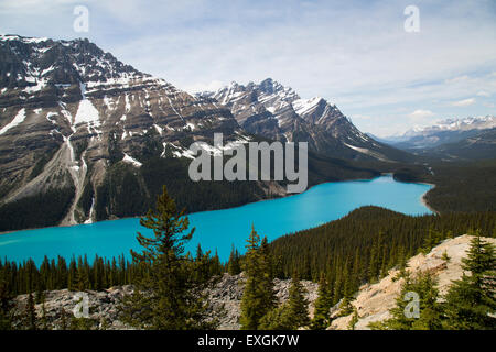 Ein Blick über Peyto Lake in Kanada. Stockfoto