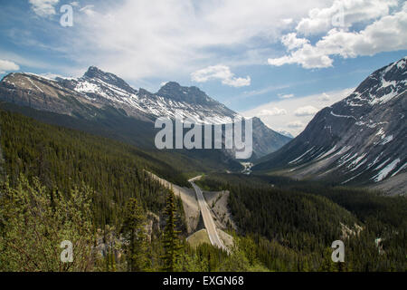 Ein Blick über den Icefields Parkway-Straße in den Rocky Mountains, Kanada Stockfoto