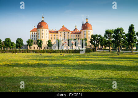 Barockschloss Moritzburg, Dresden, Freistaat Sachsen, Deutschland, Europa Stockfoto