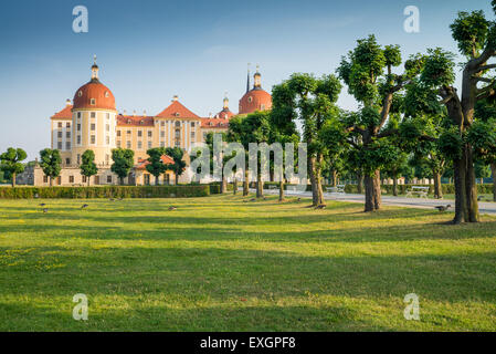 Barockschloss Moritzburg, Dresden, Freistaat Sachsen, Deutschland, Europa Stockfoto