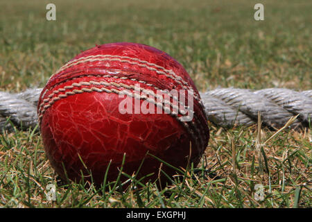 Cricket - Kent Cricket League Division IV 1. XI - Faversham Cricket Club V Cowdrey Cricket Club Stockfoto