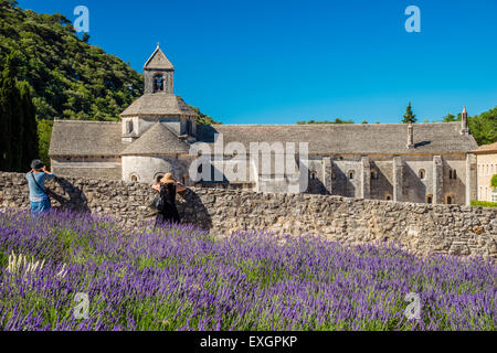 Touristen fotografieren Senanque Abbey oder Abbaye Notre-Dame de Senanque mit Lavendelfeld in voller Blüte, Gordes, Provence, Fran Stockfoto