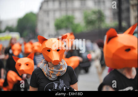 Westminster, London, UK. 14. Juli 2015. Eine Fox Jagd Verbot Demonstration vor dem Parlament. Bildnachweis: Matthew Chattle/Alamy Live-Nachrichten Stockfoto