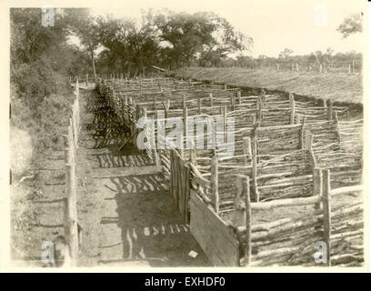 Die Stände der Hog Hog Stalls in Paraguay spiegeln die landwirtschaftlichen Praktiken der russischen Mennoniten wider, wobei der Schwerpunkt auf der Viehhaltung und dem landwirtschaftlichen Leben in der Region liegt. Stockfoto