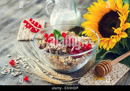 Gesundes Frühstück mit Müsli oder Müsli, Milch, frische Beeren, rote Johannisbeere, Knäckebrot, Honig, Sonnenblumenkerne und Weizen. Haferflocken, Stockfoto