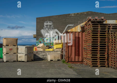 Rückseite des Fisch Einfrieren Fabrik, Grundarfjordur, Island Stockfoto