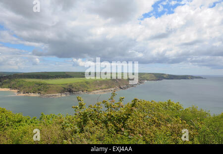 Blick über die Kingsbridge Estuary auf dem South West Coastal Path, in der Nähe von Salcombe, auf der Südküste von Devon, England, UK Stockfoto