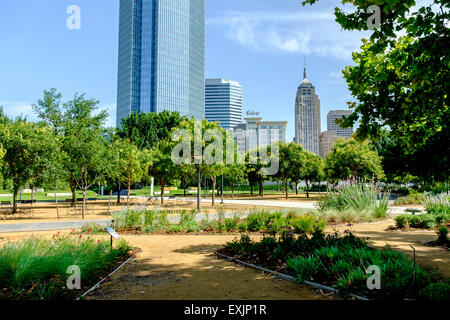 Blick durch die Vordergrund-Gärten von Myriad Botanical Gardens auf die Skyline der Innenstadt von Oklahoma City, Oklahoma, USA. Stockfoto