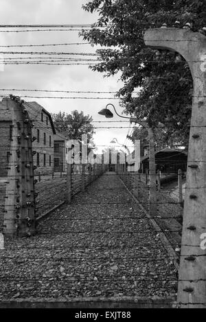 Elektrozaun zu bändigen Häftlinge im KZ Auschwitz-Birkenau in der Nähe von Krakau, Polen Stockfoto