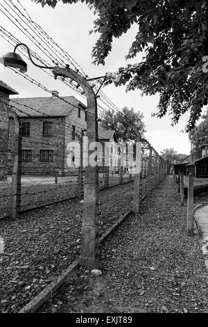 Elektrozaun zu bändigen Häftlinge im KZ Auschwitz-Birkenau in der Nähe von Krakau, Polen Stockfoto