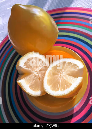 In Scheiben geschnittenen frischen Zitronen in gelb Faux Zitrone Kunststoff Vorratsbehälter, USA Stockfoto
