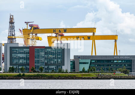 Samson und Goliath, die berühmten gelben Belfast Krane hinter der Nordirland-Wissenschaftszentrum Stockfoto