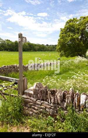 Ein öffentlicher Fußweg auf der Cotswolds in der Nähe von Stowell, Gloucestershire UK Stockfoto