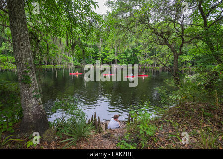 PoE Springs Park ist im Besitz von Alachua County und liegt am Fluss Santa Fe in Nord-Zentral-Florida. Stockfoto