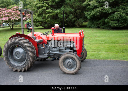 1964 rot Massey Ferguson 35 X Modell Ackerschlepper Stockfoto