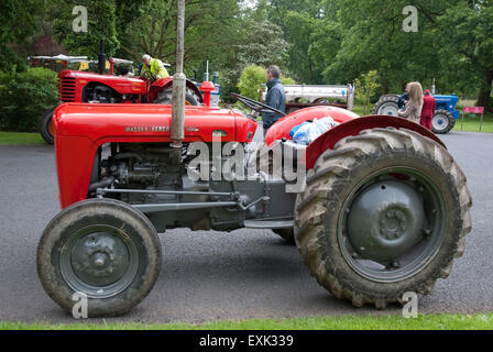 1961 rot Massey Ferguson 35 Modell Ackerschlepper Stockfoto