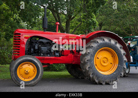 1949 roten Massey Harris 203 Modell Ackerschlepper Stockfoto