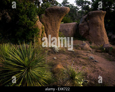 Enchanted Rock State Natural Area, rosa Granit Kuppel, meist unterirdisch, im "Bergland" und im Herzen von Lone Star. Stockfoto