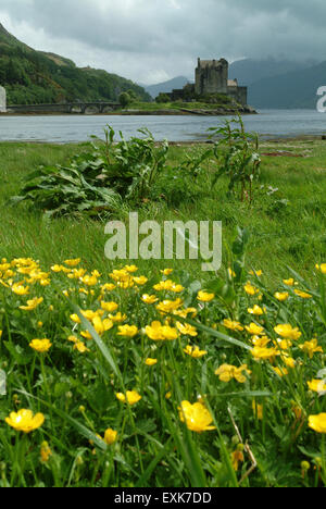 Eilean Donan Castle Western Highlands Schottland Großbritannien Europa Stockfoto